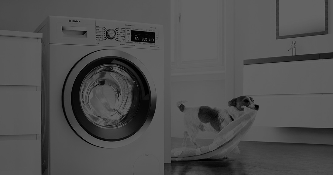   Bosch   F03  